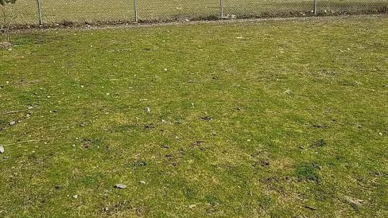 Ft Lewis Dog Park - Joint Base Lewis-McChord, WA