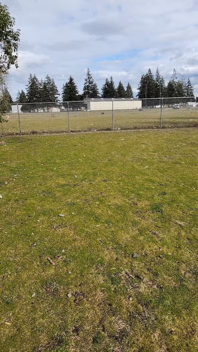 Ft Lewis Dog Park - Joint Base Lewis-McChord, WA
