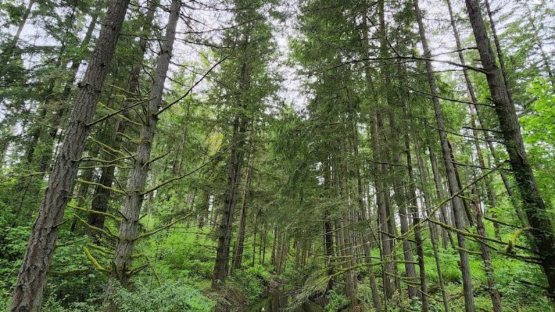 Mckay Marsh Nature Trail - Joint Base Lewis-McChord, WA