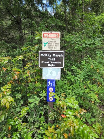 Mckay Marsh Nature Trail - Joint Base Lewis-McChord, WA