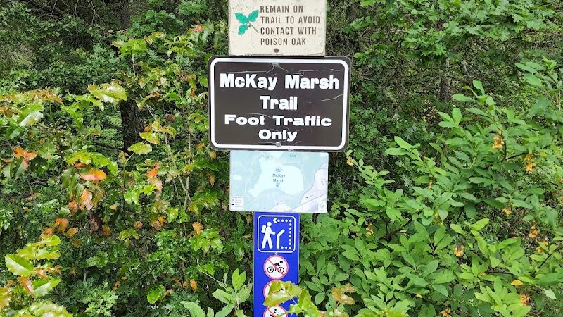 Mckay Marsh Nature Trail - Joint Base Lewis-McChord, WA