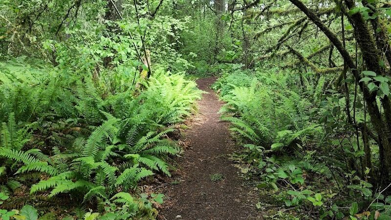 Mckay Marsh Nature Trail - Joint Base Lewis-McChord, WA