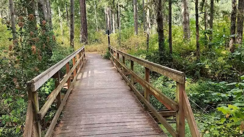 Mckay Marsh Nature Trail - Joint Base Lewis-McChord, WA
