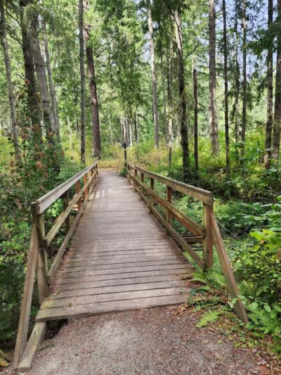 Mckay Marsh Nature Trail - Joint Base Lewis-McChord, WA