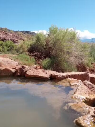 Wildland Gardens - Joseph, UT