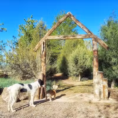 Wildland Gardens - Joseph, UT