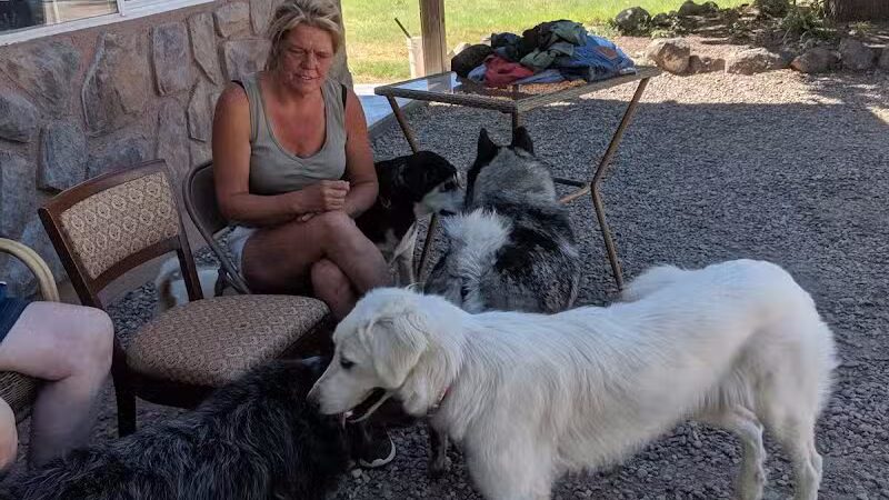 Wildland Gardens - Joseph, UT