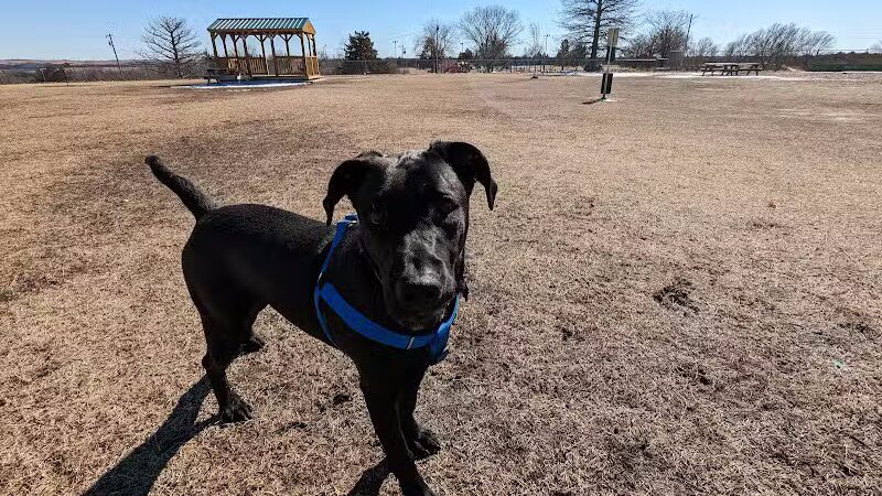 Dog park - Junction City, KS