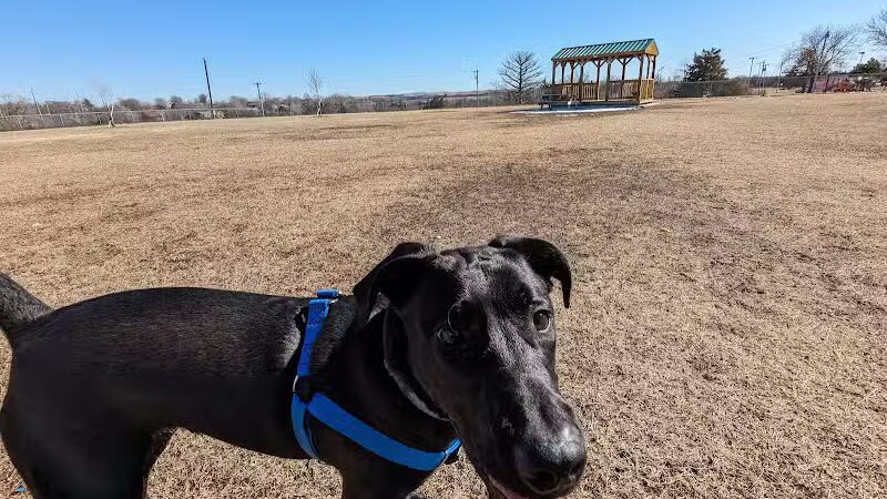 Dog park - Junction City, KS