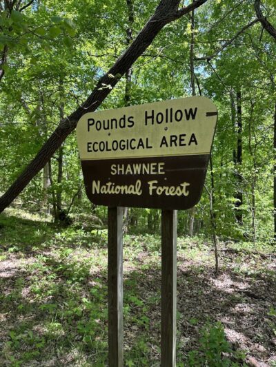 Pounds hollow - Junction, IL