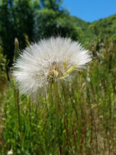 City Creek Trailhead (recgovnpsdata) - Junction, UT