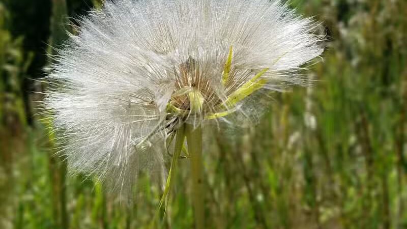 City Creek Trailhead (recgovnpsdata) - Junction, UT