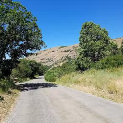 City Creek Trailhead (recgovnpsdata) - Junction, UT