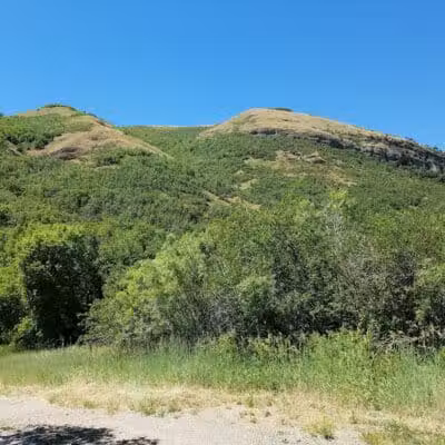 City Creek Trailhead (recgovnpsdata) - Junction, UT