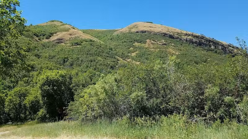 City Creek Trailhead (recgovnpsdata) - Junction, UT