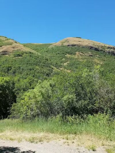City Creek Trailhead (recgovnpsdata) - Junction, UT