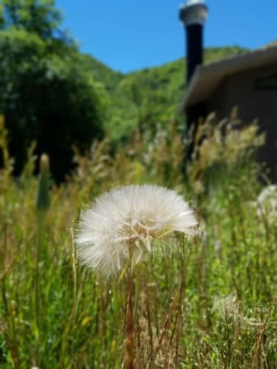 City Creek Trailhead (recgovnpsdata) - Junction, UT