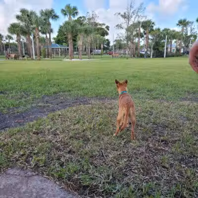 Cinquez Park - Jupiter, FL
