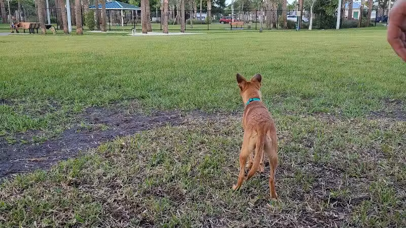 Cinquez Park - Jupiter, FL