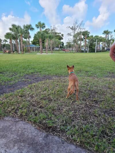 Cinquez Park - Jupiter, FL