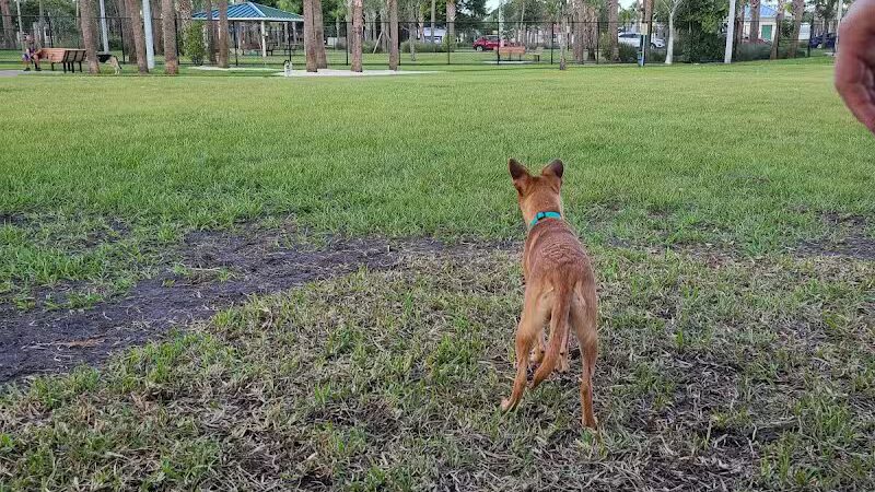 Cinquez Park - Jupiter, FL