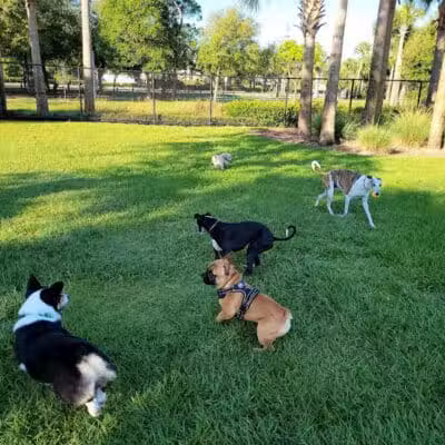 Cinquez Park - Jupiter, FL
