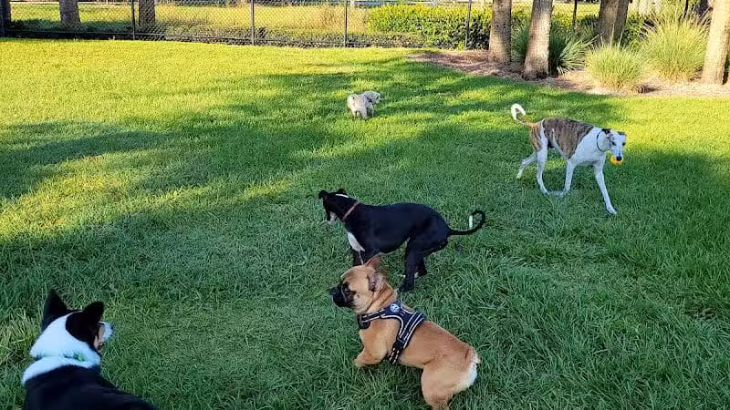 Cinquez Park - Jupiter, FL