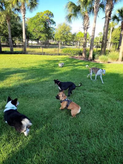 Cinquez Park - Jupiter, FL