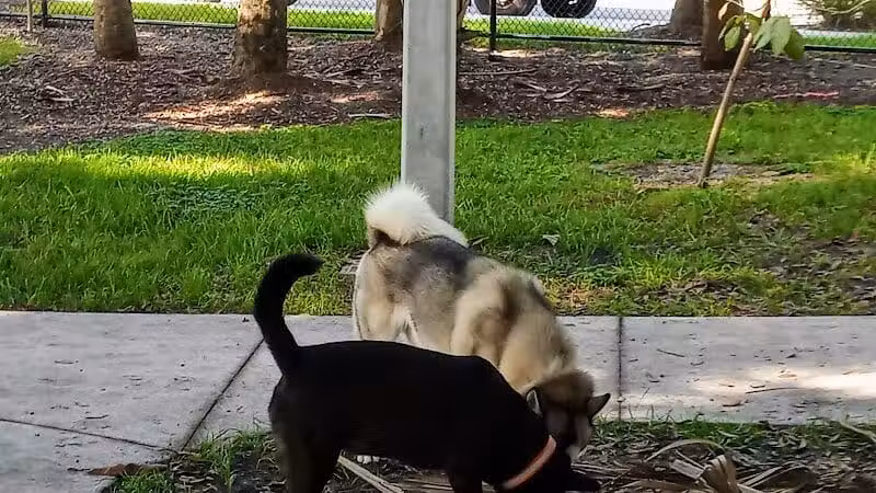 Cinquez Park - Jupiter, FL