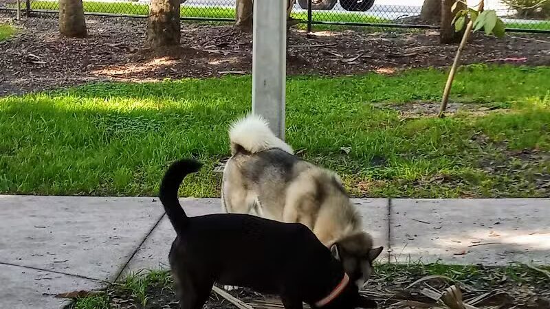 Cinquez Park - Jupiter, FL