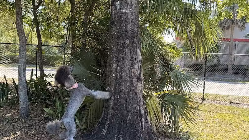 Cinquez Park - Jupiter, FL