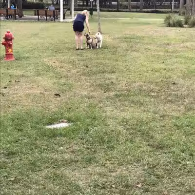 Cinquez Park - Jupiter, FL