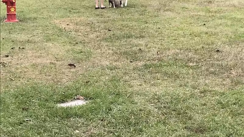 Cinquez Park - Jupiter, FL