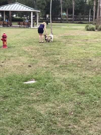 Cinquez Park - Jupiter, FL