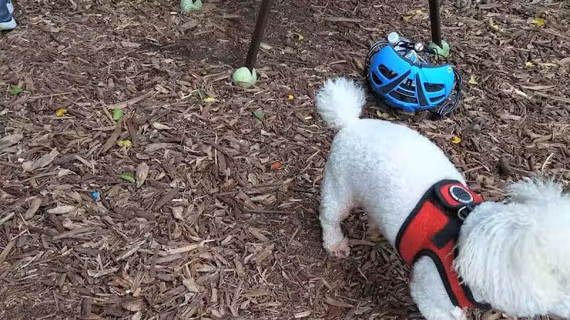 FIND dog park - Jupiter, FL