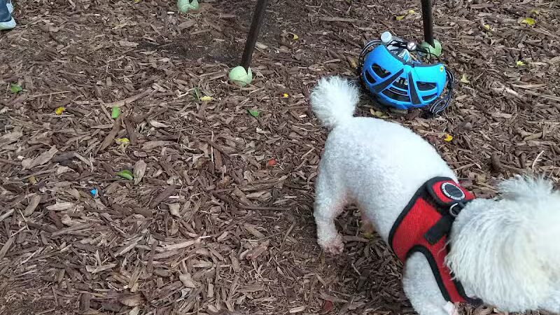 FIND dog park - Jupiter, FL