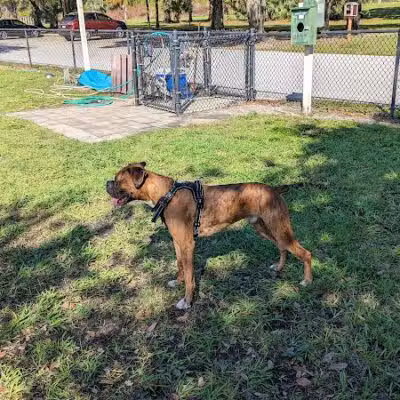 FIND dog park - Jupiter, FL