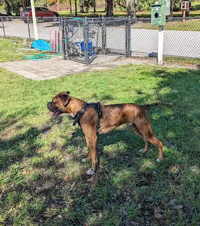 FIND dog park - Jupiter, FL
