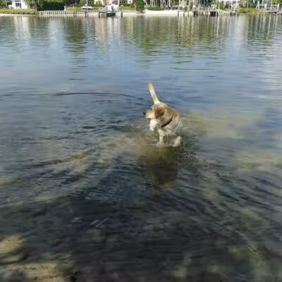 FIND dog park - Jupiter, FL