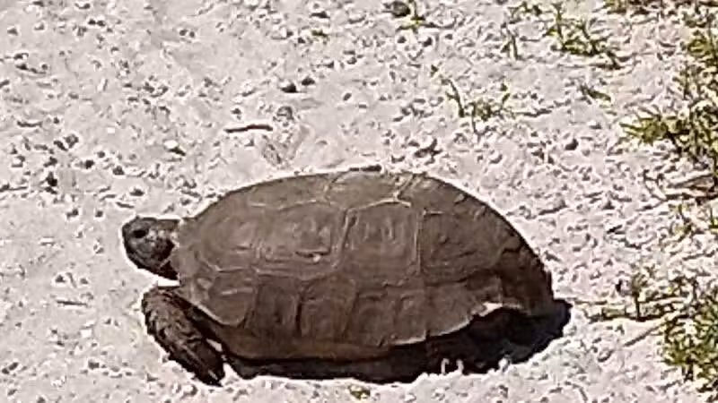 FIND dog park - Jupiter, FL