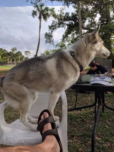 FIND dog park - Jupiter, FL