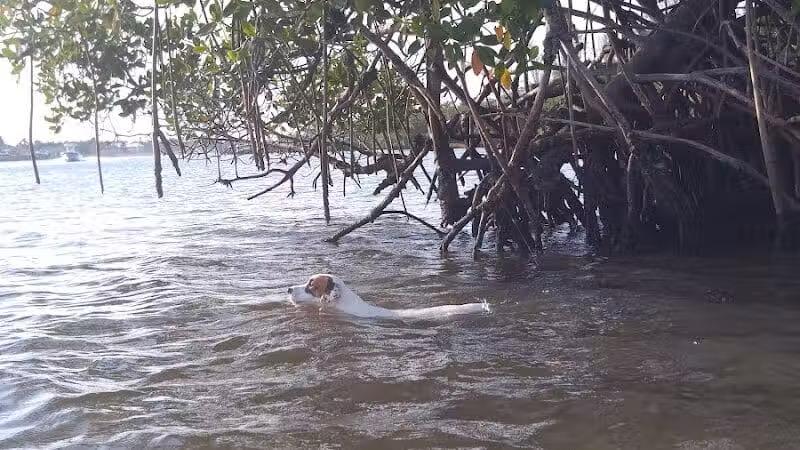 FIND dog park - Jupiter, FL