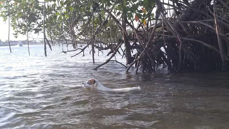 FIND dog park - Jupiter, FL