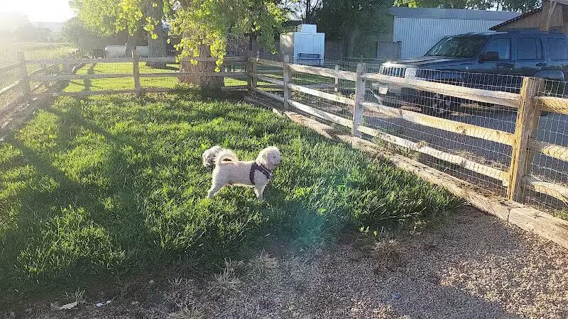 Dog park - Kanab, UT