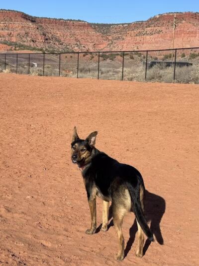 Kanab Dog Park - Kanab, UT