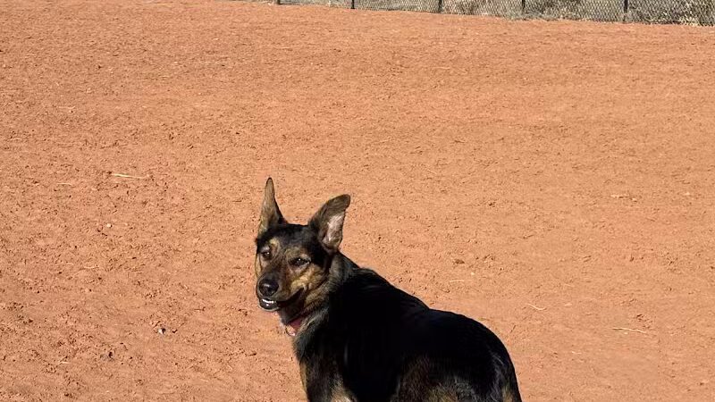 Kanab Dog Park - Kanab, UT
