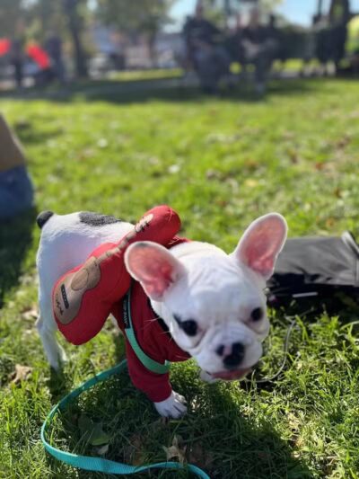 Arlington Depot Park - Kearny, NJ