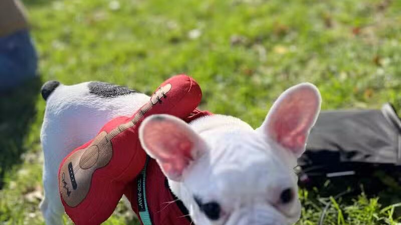 Arlington Depot Park - Kearny, NJ