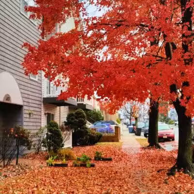 Arlington Depot Park - Kearny, NJ