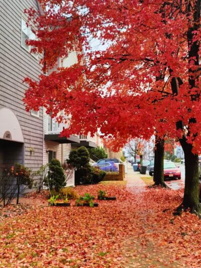 Arlington Depot Park - Kearny, NJ